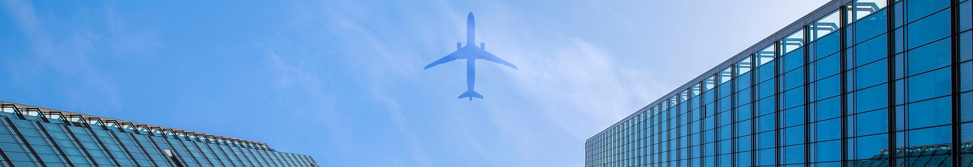 女人被躁的高潮嗷嗷叫